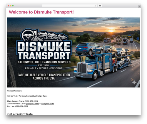 Socialfeeds pro WordPress plugin - dismuketransport.com