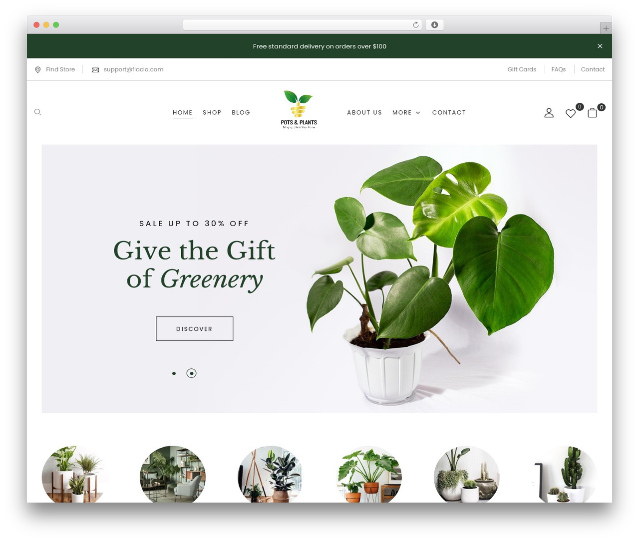 WordPress theme Flacio - potsandplants.ae