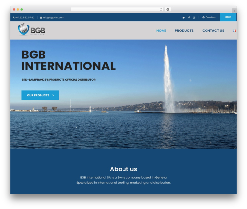 Themesflat WordPress plugin - bgb-int.com
