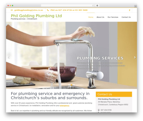 Zeroerror Lite theme WordPress - goldingplumbing.co.nz