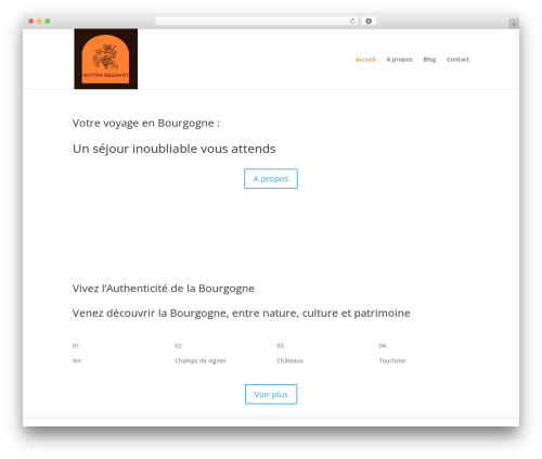 Divi contact form zero spam WordPress plugin - nuiton-beaunoy.com