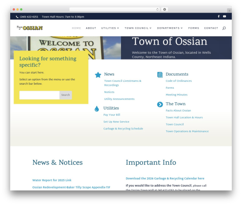 Divi WordPress theme - ossianin.com
