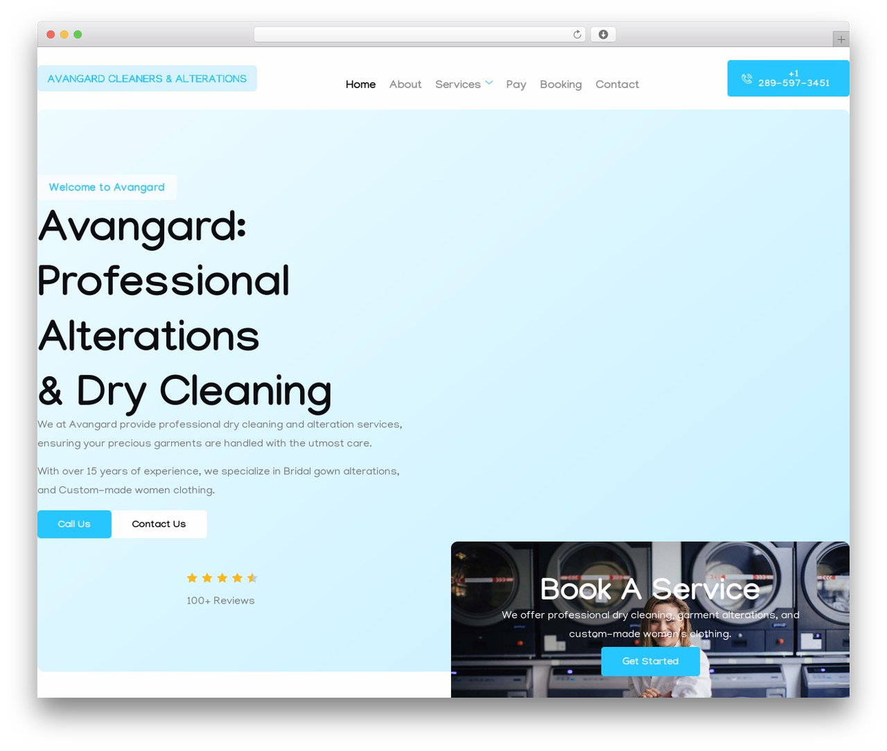 Hello Elementor theme WordPress - avangarddryclean.com