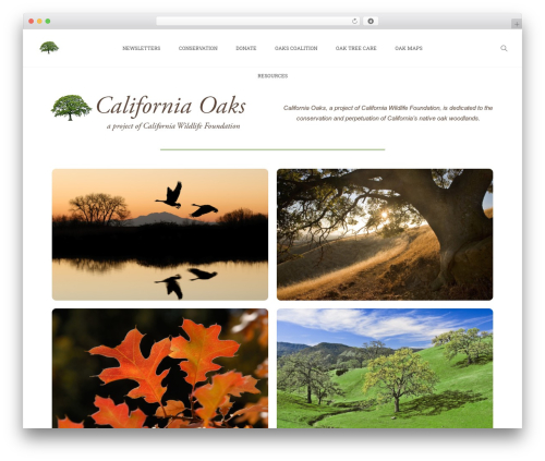 Theme WordPress Aoraki - californiaoaks.org