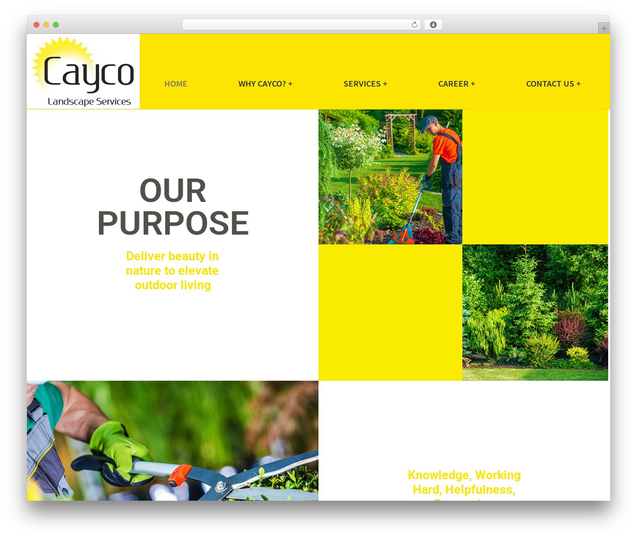 WordPress theme Storefront - caycolandscaping.com WordPress theme Storefront - caycolandscaping.com