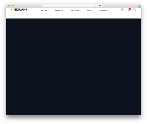 Equant theme WordPress - equant.like-themes.com