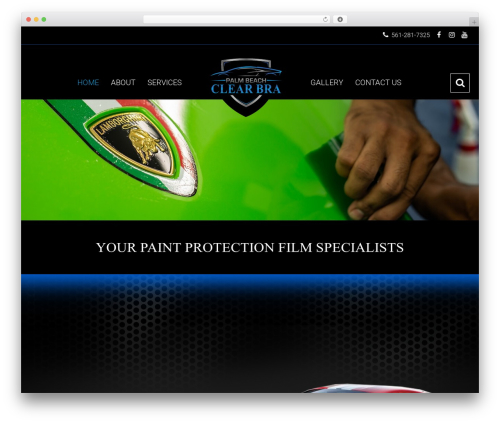 Theme AXe top WordPress theme - palmbeachclearbra.com