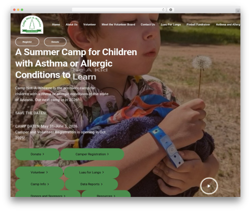 Ave core WordPress plugin - campnotawheeze.org
