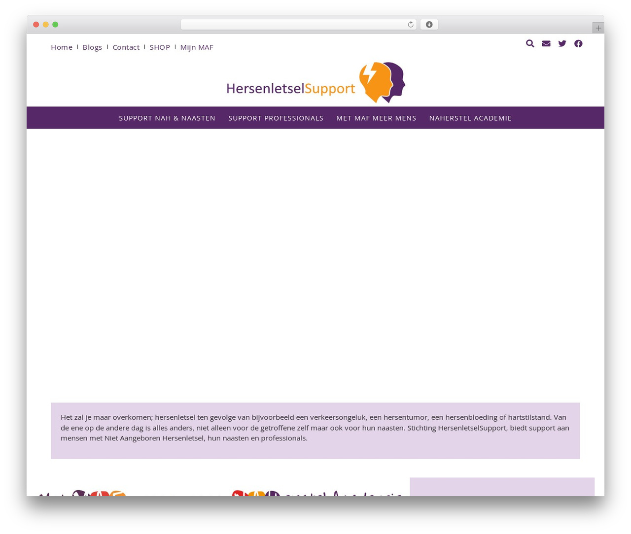 Hello Elementor theme WordPress - hersenletselsupport.nl