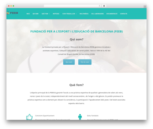 Mobius WordPress theme - feeb.cat