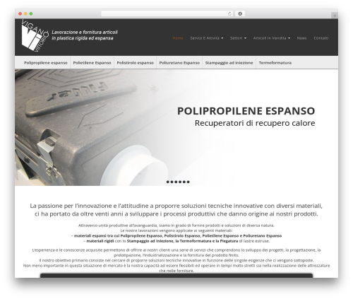 Theme WordPress Client Child Theme - vittoriovigano.com