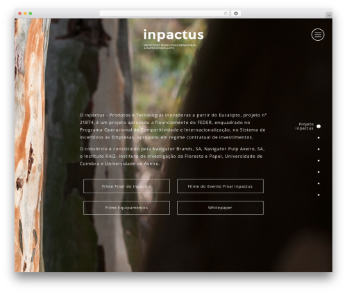 Theme WordPress Inpactus - inpactus.pt