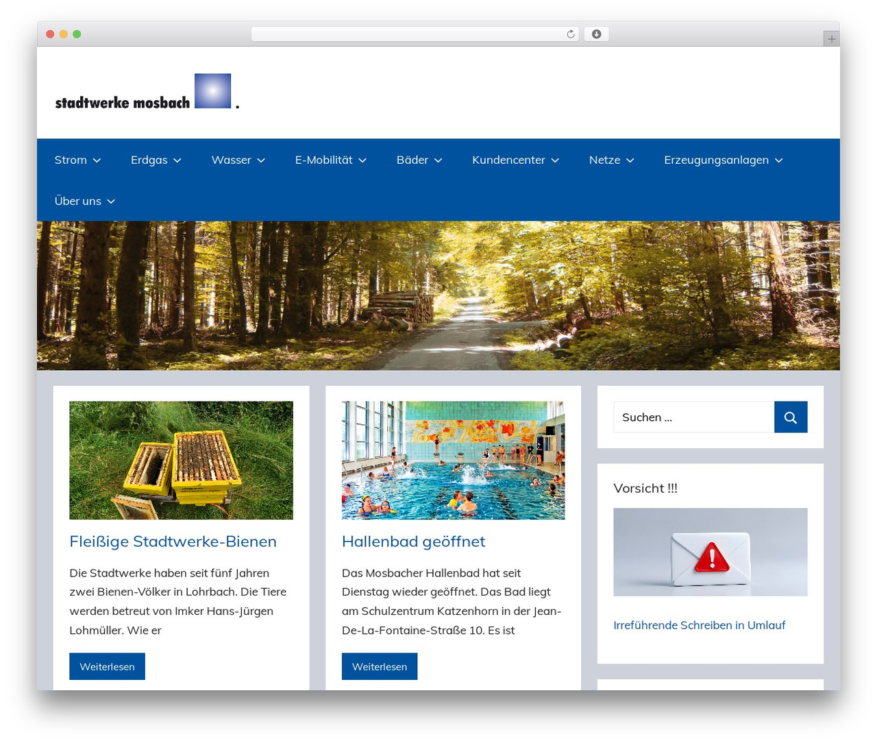 WordPress theme Donovan - swm-online.de