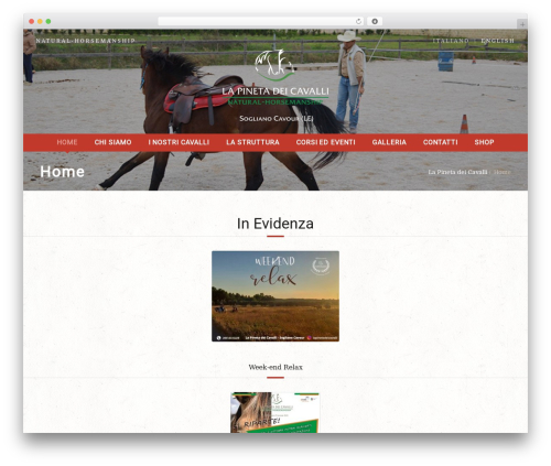 Curly extension WordPress plugin - lapinetadeicavalli.it