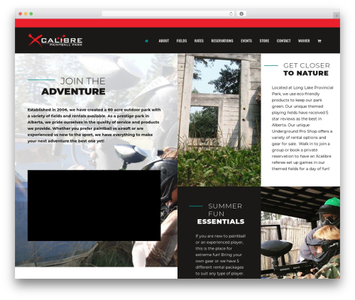 E signature WordPress plugin - xcalibrepaintball.com