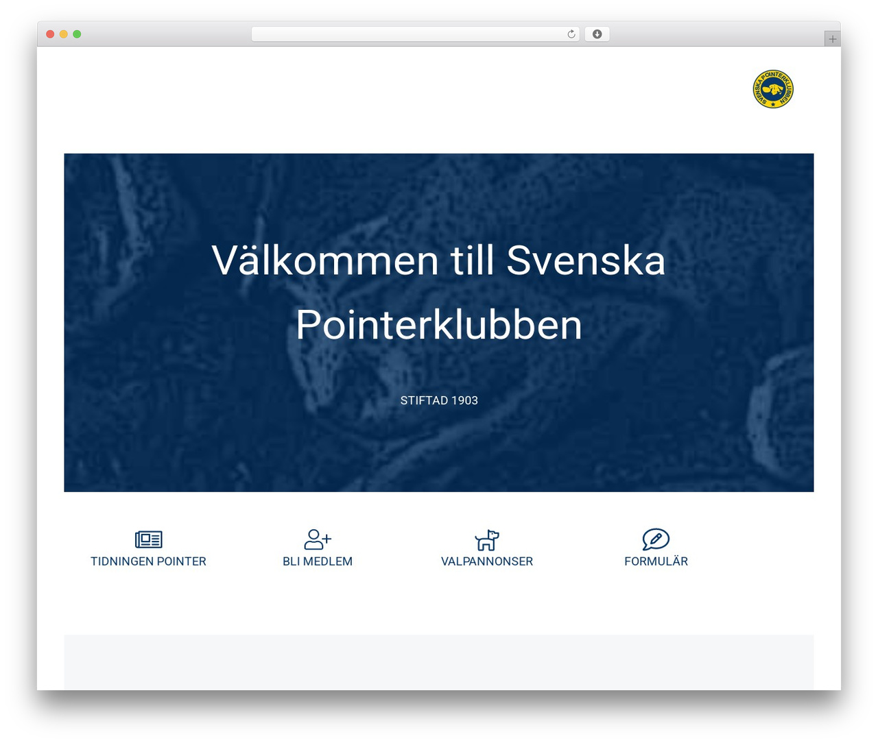 Mai Studio theme WordPress - pointerklubben.se