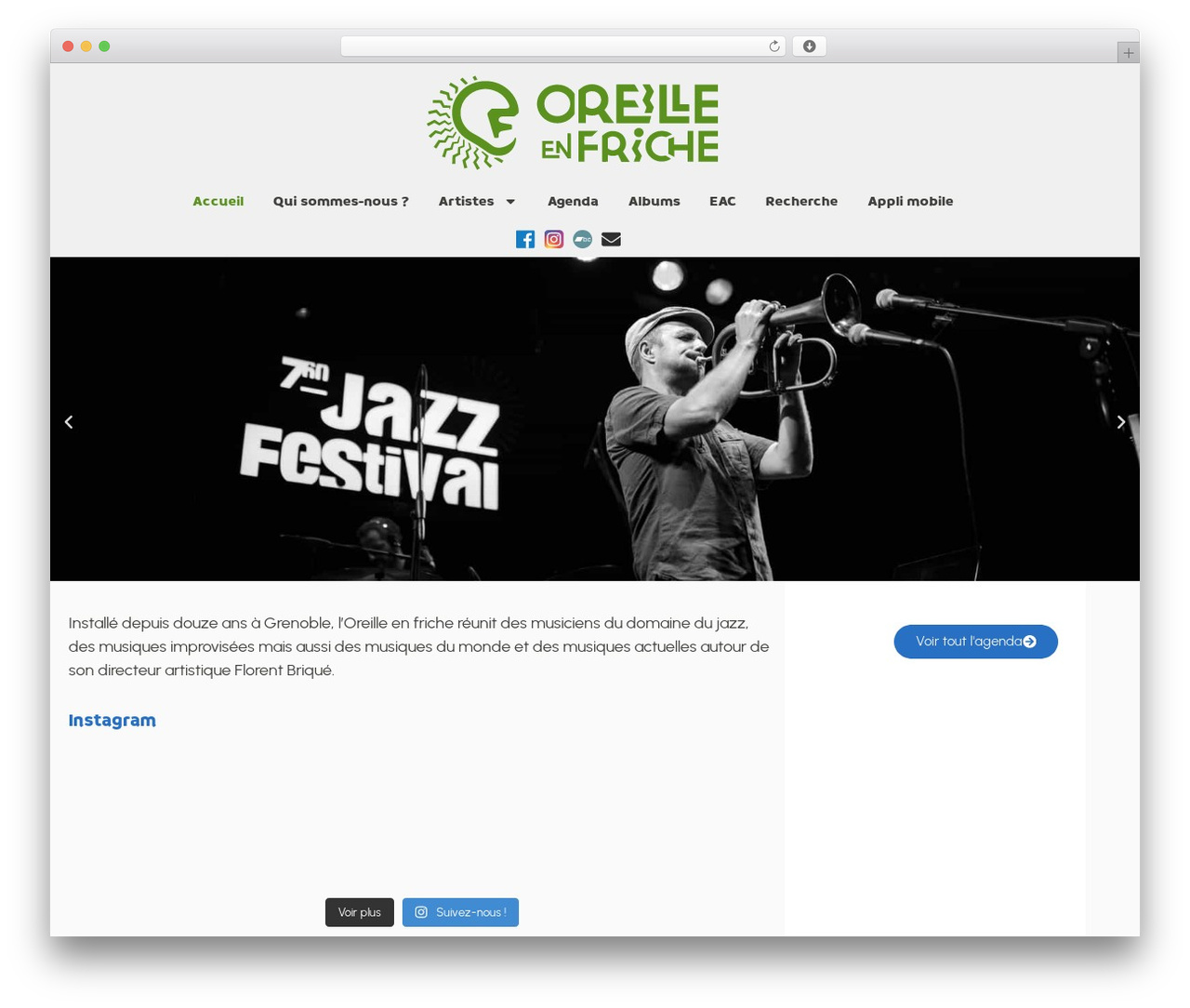 Chris Gaillard WordPress theme design - loreilleenfriche.fr