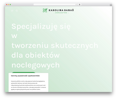 Tpay woocommerce 1 WordPress plugin - karolinabanas.com