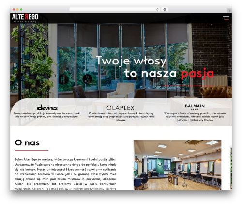 Theme WordPress AlterEgo - alterego.kielce.pl