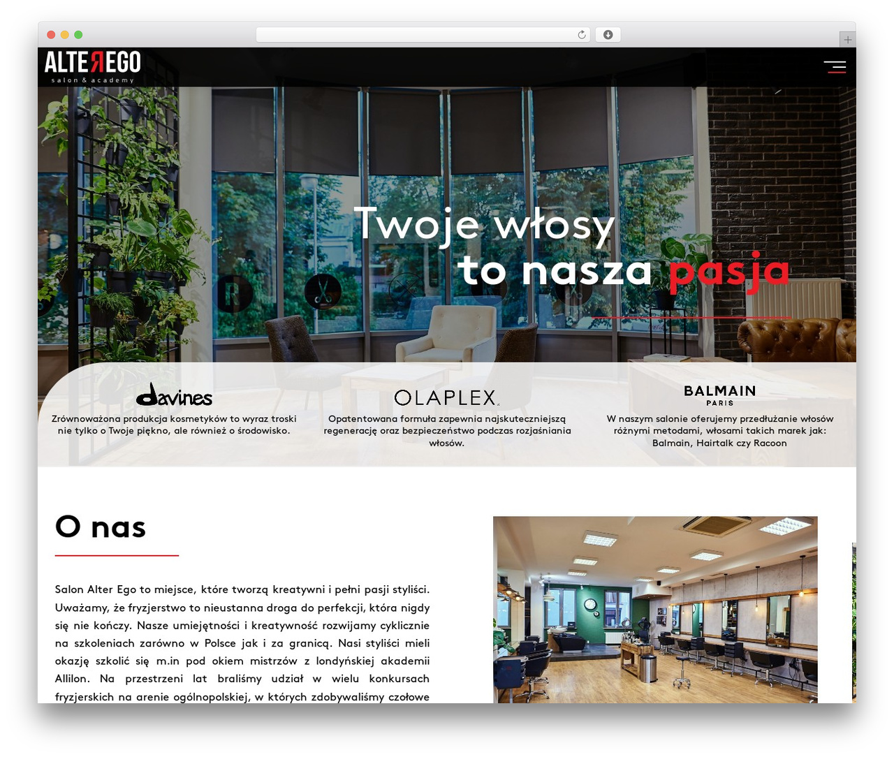 Theme WordPress AlterEgo - alterego.kielce.pl