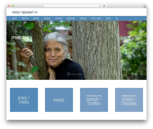 Multimanager wp WordPress plugin - nancyrappaport.com