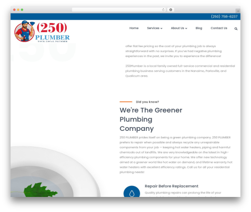 Mousetrap extras WordPress plugin - 250plumber.com