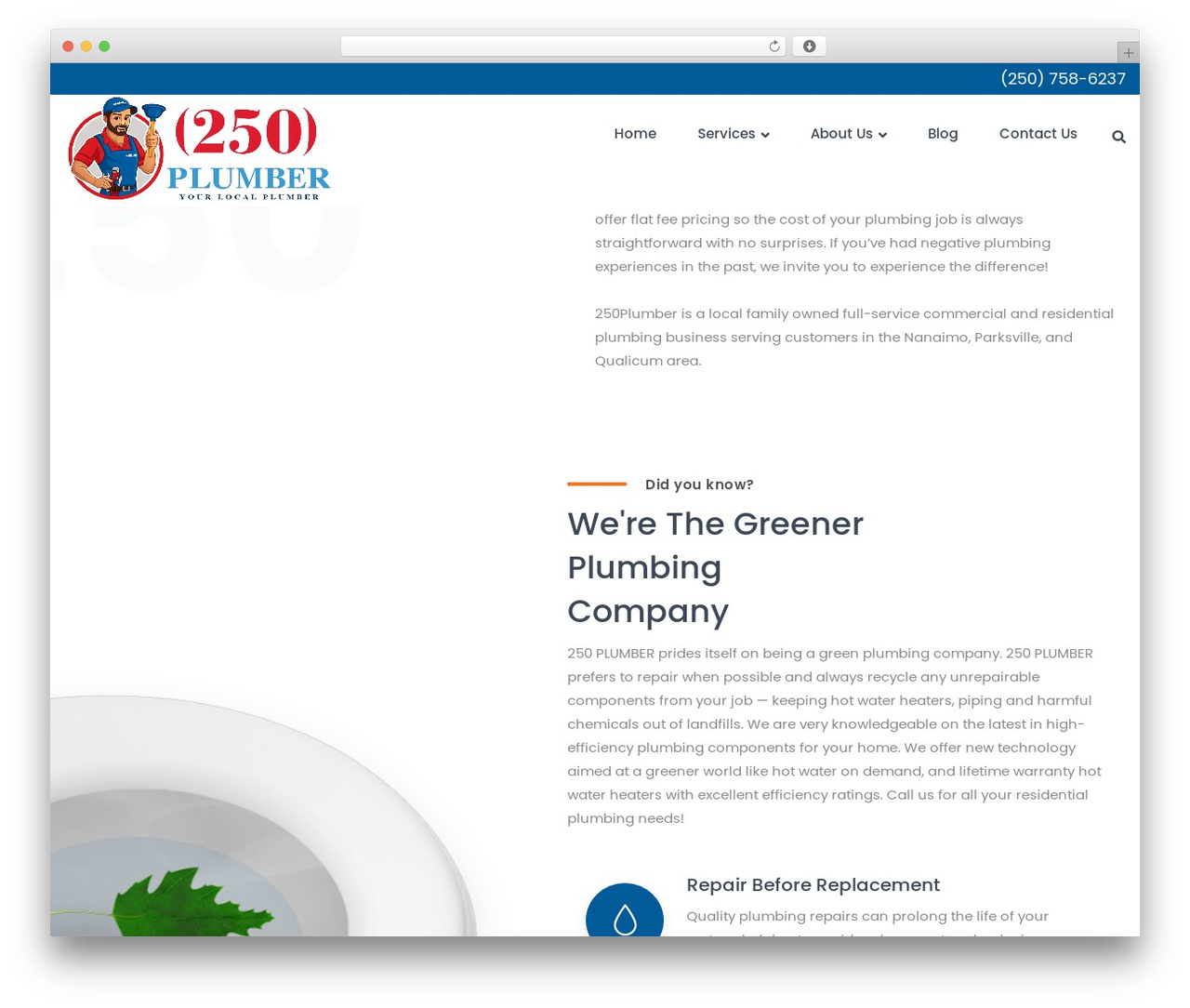 Timisoara premium WordPress theme - 250plumber.com
