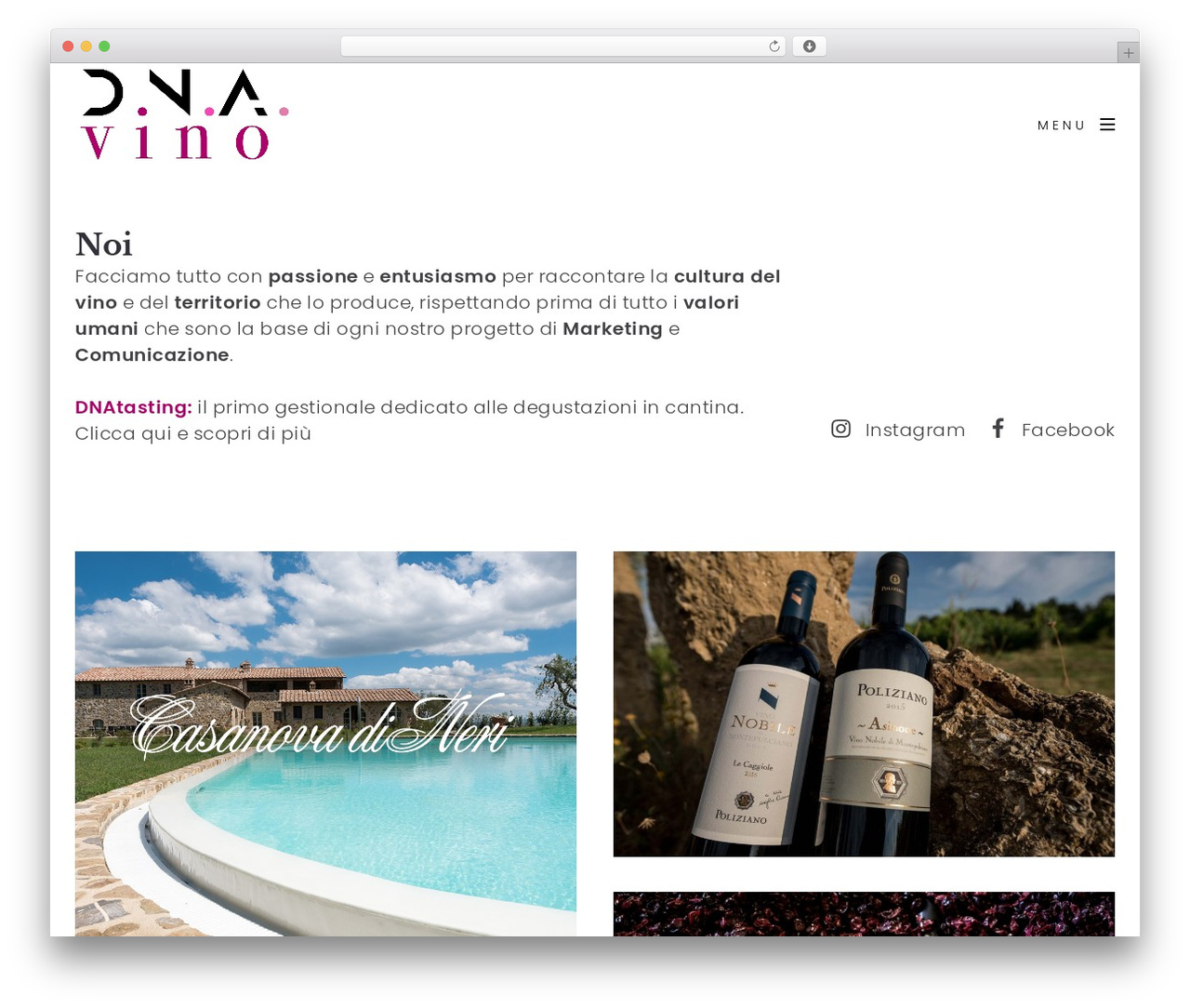 WordPress theme Arnold - dnavino.com WordPress theme Arnold - dnavino.com