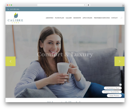 WordPress theme Interiart - calibrelake.com