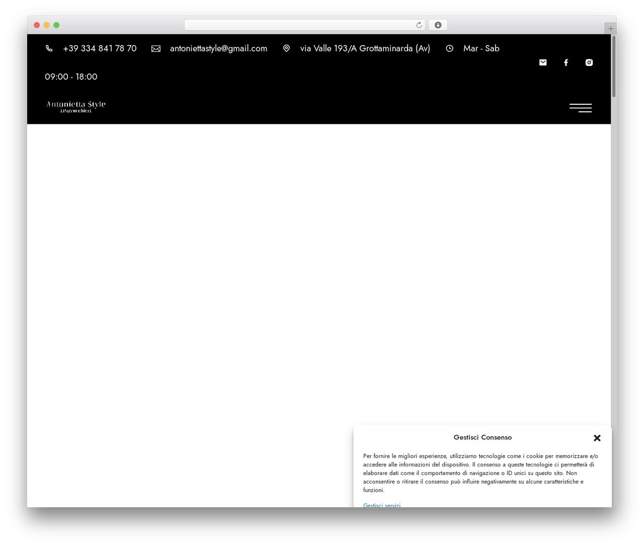 WordPress theme Luxcut - antoniettastyle.it