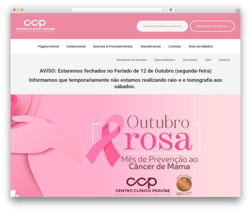 WordPress theme You - centroclinicoperuibe.com