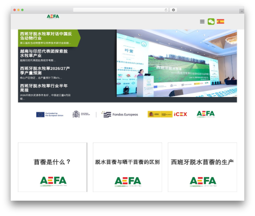 AEFA theme WordPress - xibanyamuxu.com