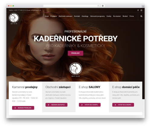 Dfd extensions WordPress plugin - mjczlin.cz