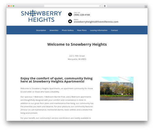 Millennia footer info WordPress plugin - snowberryheights.com