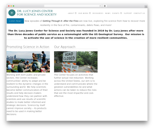 Executive free WordPress theme - drlucyjonescenter.org