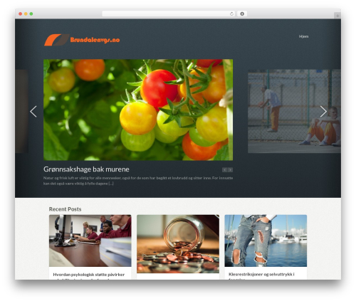 Theme WordPress Elastik - brundalenvgs.no