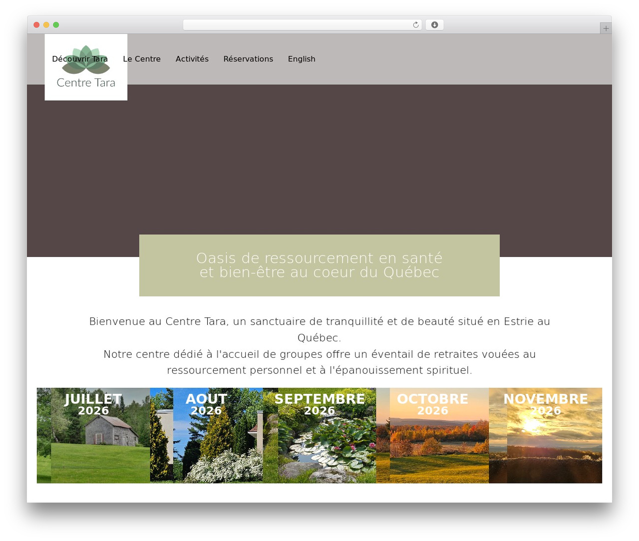 Theme WordPress Hello Elementor - centretara.com Theme WordPress Hello Elementor - centretara.com