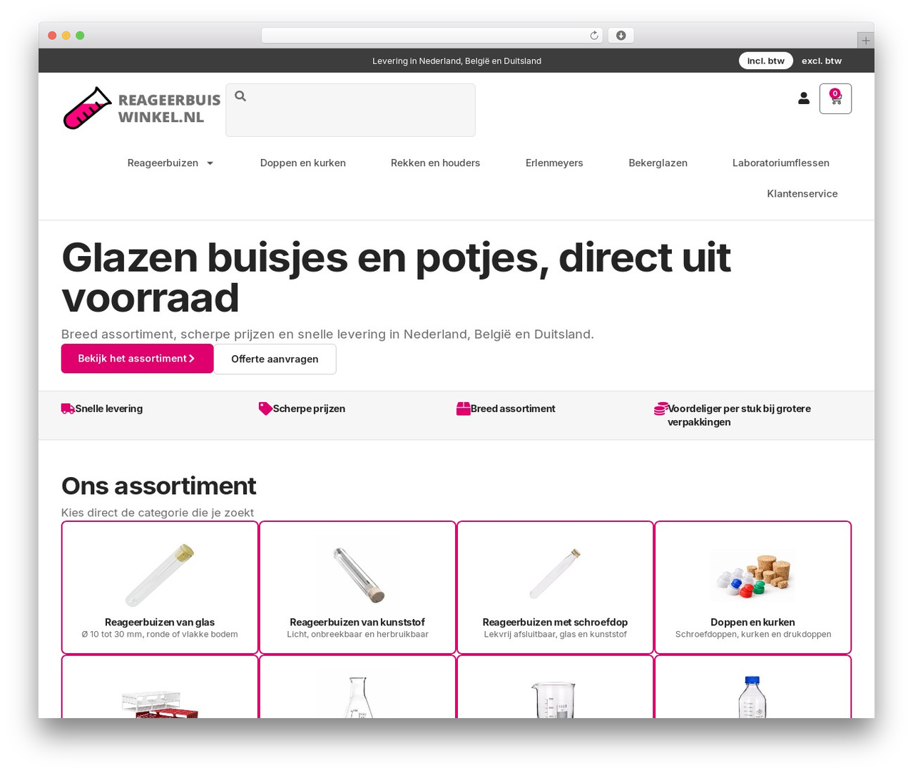 Theme WordPress Hello Elementor - reageerbuiswinkel.nl