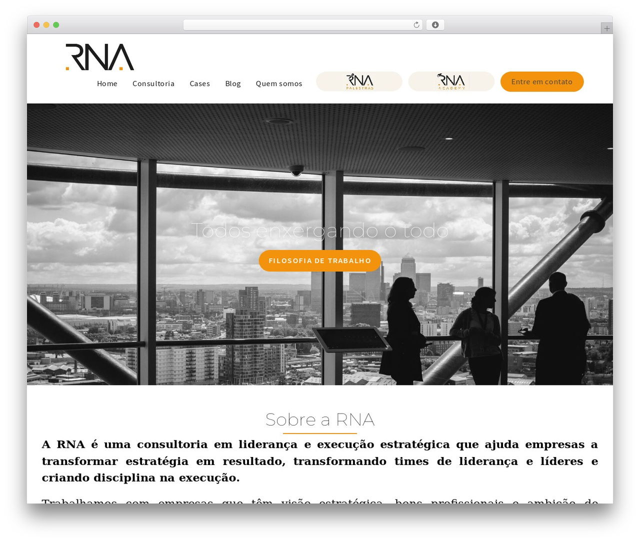 Theme WordPress OceanWP - rnaconsultoria.com