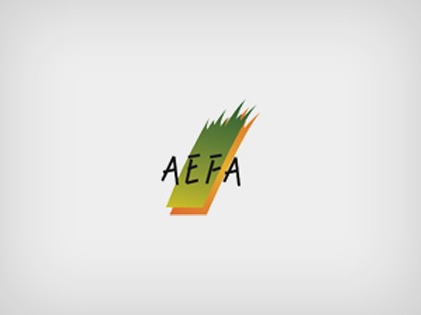 WordPress theme AEFA by Albert