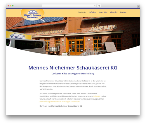 Fix divi a11y wa21 WordPress plugin - dieschaukaeserei.de