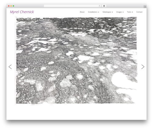WordPress theme myTheme - myrelchernick.com