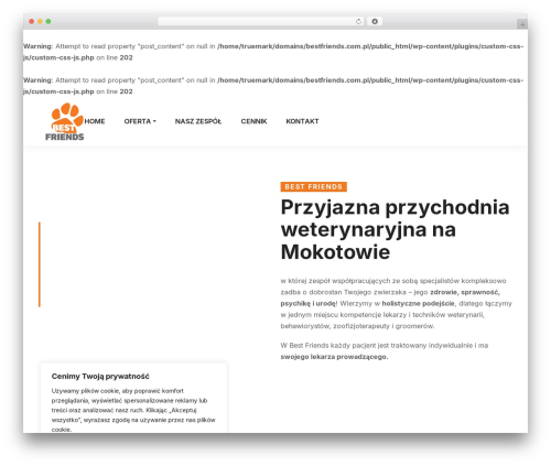 Best WordPress theme Daltech - bestfriends.com.pl