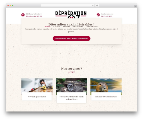 Buisson WordPress website theme - depredation07.com