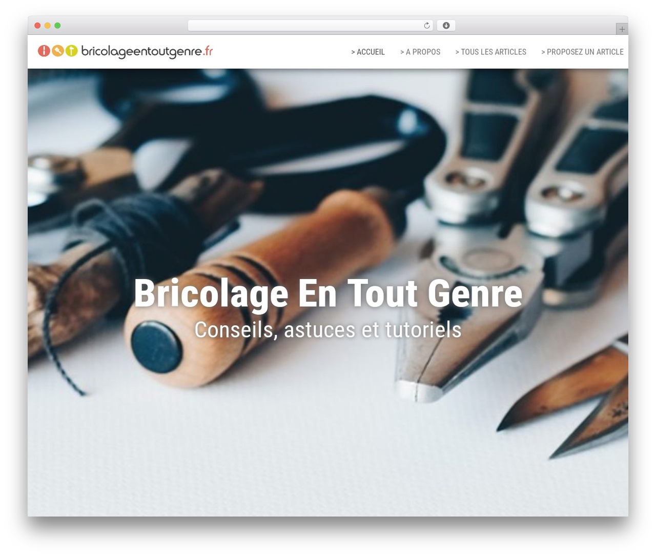 Bulk WordPress blog theme - bricolageentoutgenre.fr