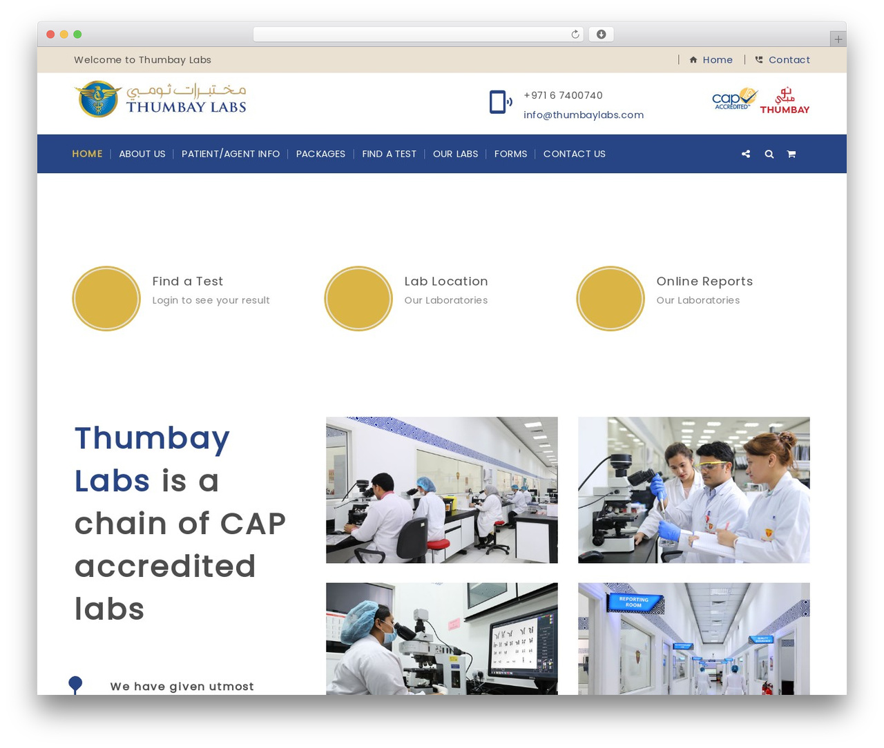 Consultancy WordPress theme - thumbaylabs.com