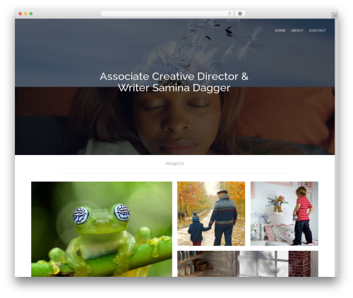 Create WordPress website theme - saminadagger.com