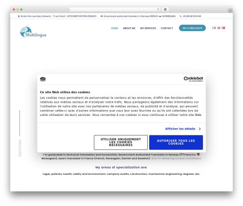 MultiLingua premium WordPress theme - multi-lingua.net