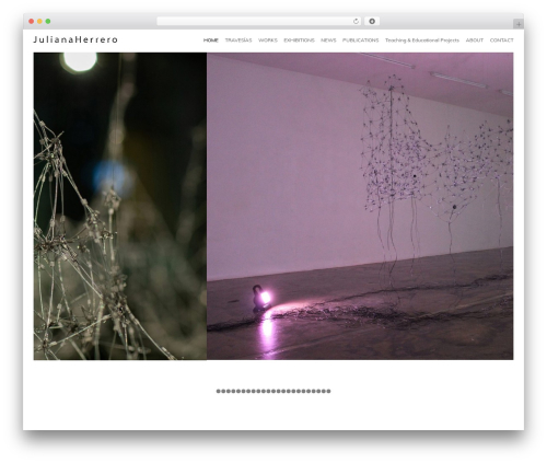 Reframe Plus WordPress theme - julianaherrero.org