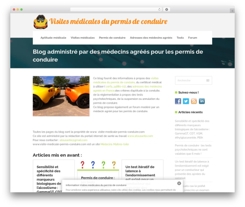 Tabbed widgets WordPress plugin - visite-medicale-permis-conduire.com